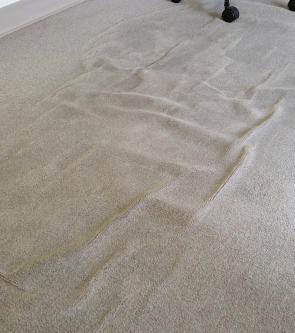 Barefoot Cedar CARPET CLEANING & Stretching