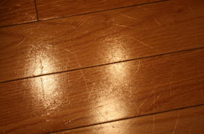 Barefoot Cedar CARPET CLEANING & Stretching