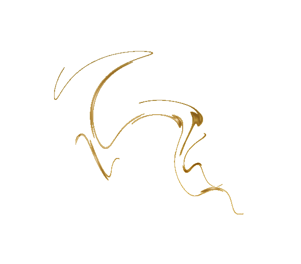 Barefoot Cedar CARPET CLEANING & Stretching