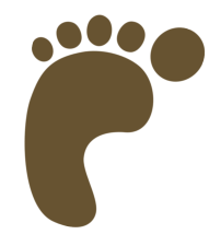 Barefoot Cedar CARPET CLEANING & Stretching