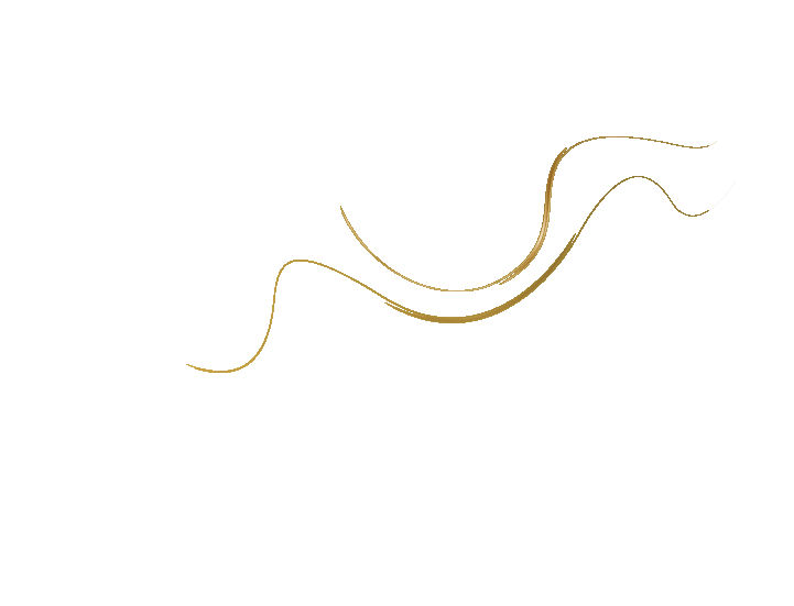 Barefoot Cedar CARPET CLEANING & Stretching