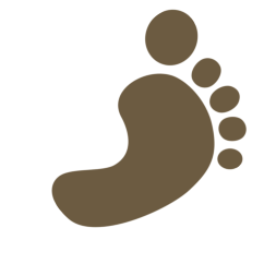 Barefoot Cedar CARPET CLEANING & Stretching