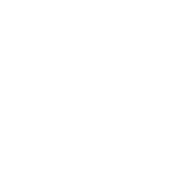 Barefoot Cedar CARPET CLEANING & Stretching