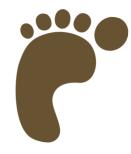 Barefoot Cedar CARPET CLEANING & Stretching