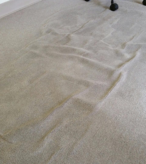 Barefoot Cedar CARPET CLEANING & Stretching