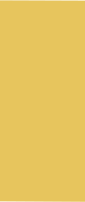 Barefoot Cedar CARPET CLEANING & Stretching