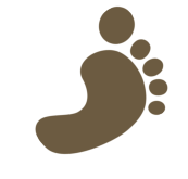 Barefoot Cedar CARPET CLEANING & Stretching