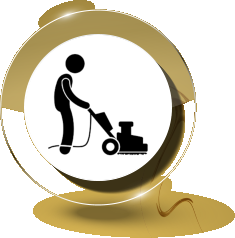 Barefoot Cedar CARPET CLEANING & Stretching