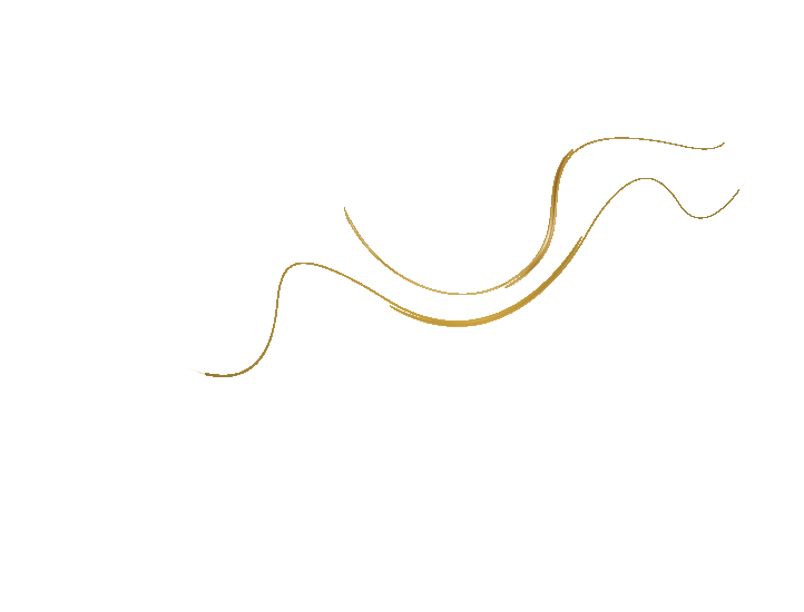 Barefoot Cedar CARPET CLEANING & Stretching