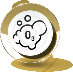 Barefoot Cedar CARPET CLEANING & Stretching