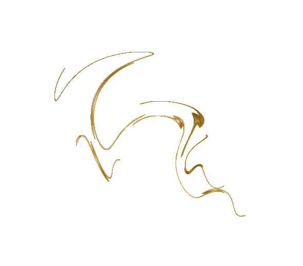 Barefoot Cedar CARPET CLEANING & Stretching